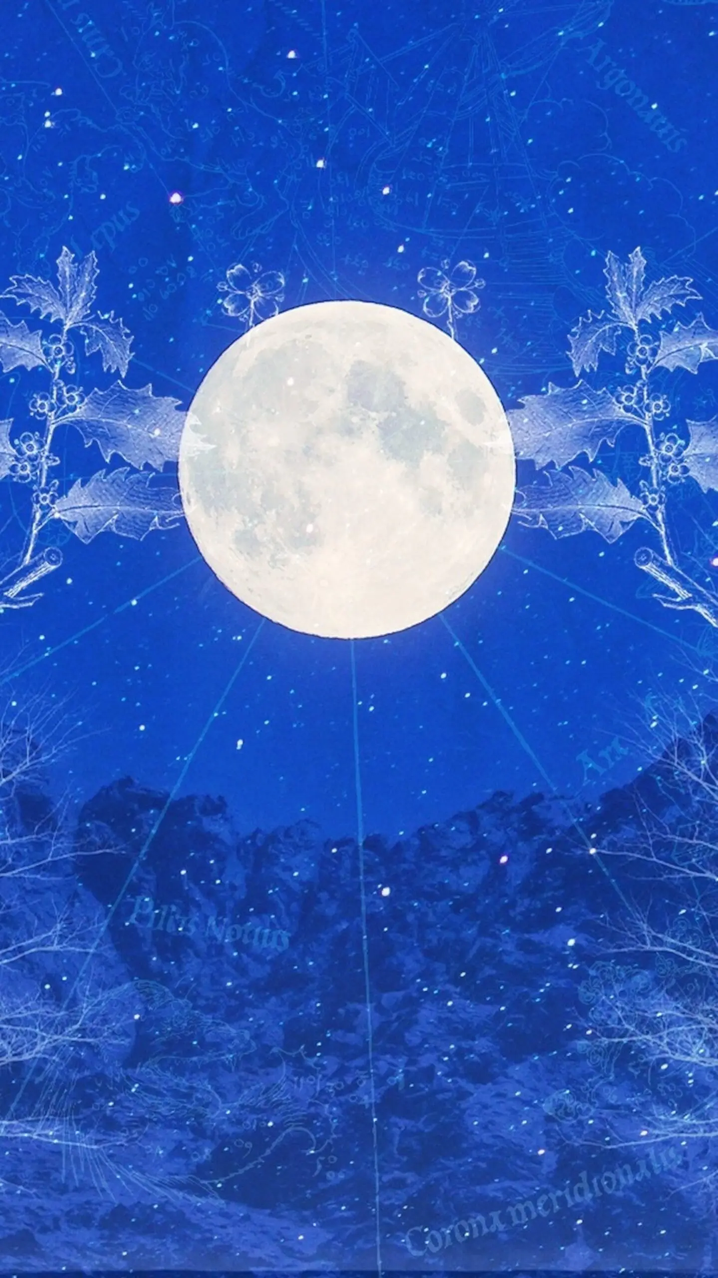 Understanding the December Full Moon: The Cold Moon Horoscope