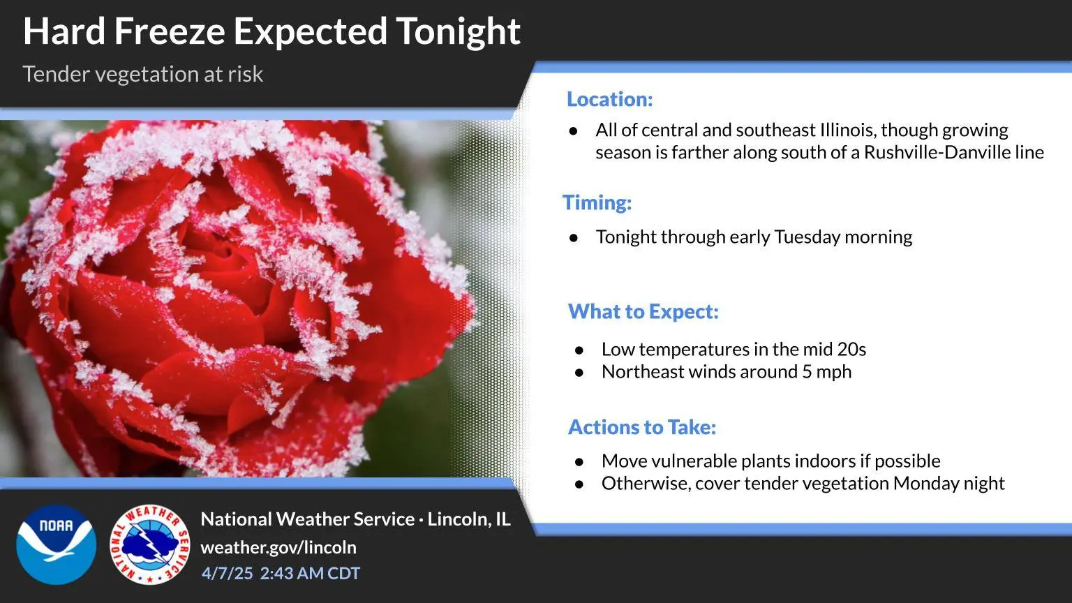 What You Need to Know About Freeze Warnings