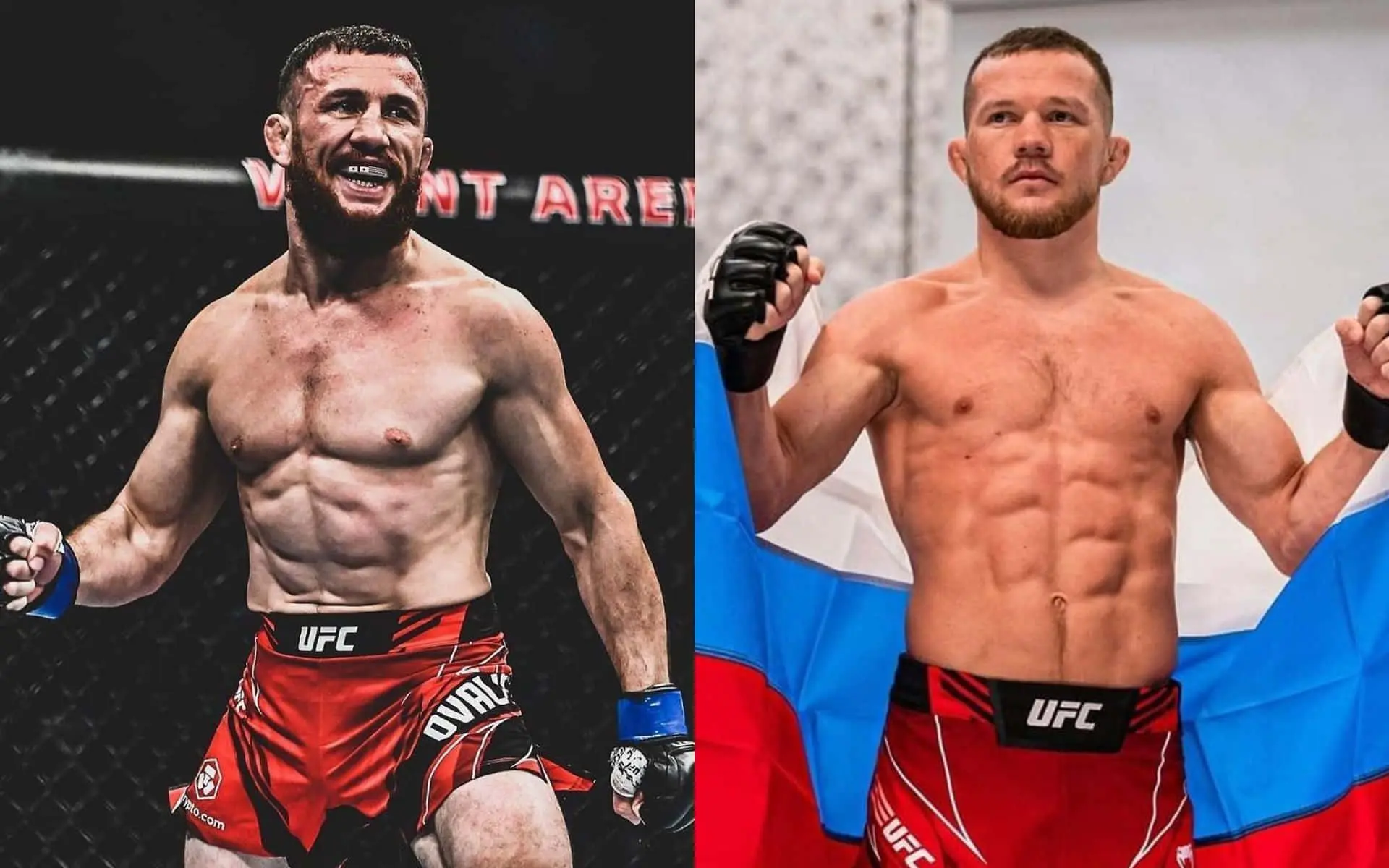 Merab Dvalishvili: A New Force in Mixed Martial Arts