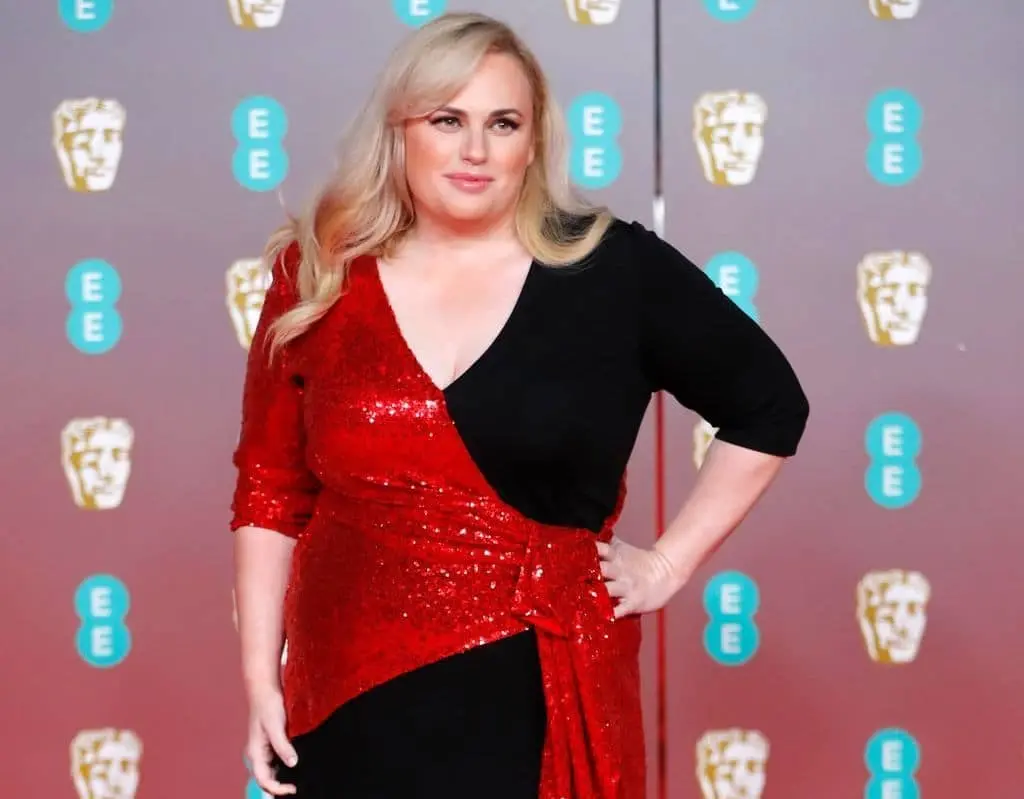 Rebel Wilson: A Journey Through Hollywood