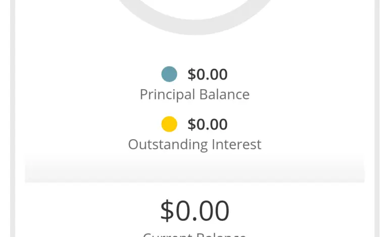 Exploring Current Trends in Student Loans