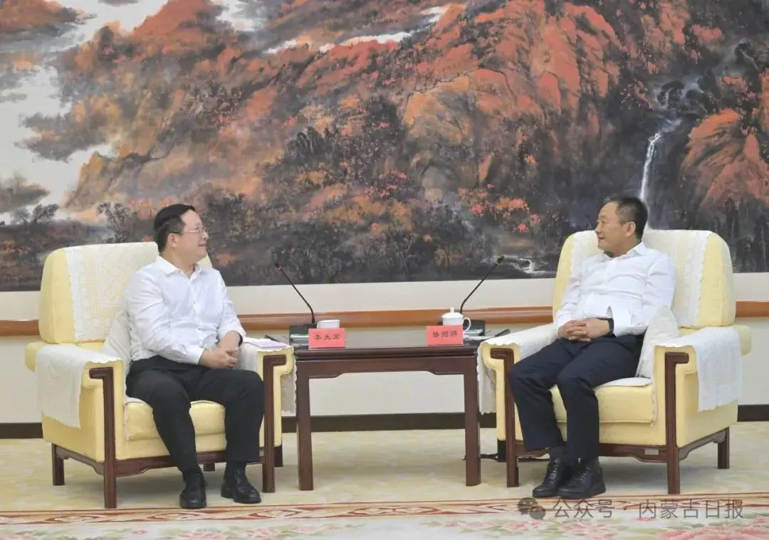 The Political Influence of 孙绍骋 in China