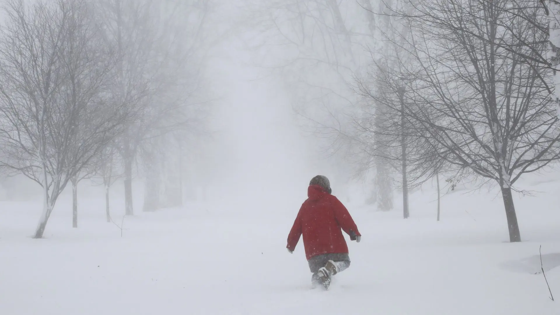 Alerta por Tormenta de Invierno: Preparativos y Consecuencias