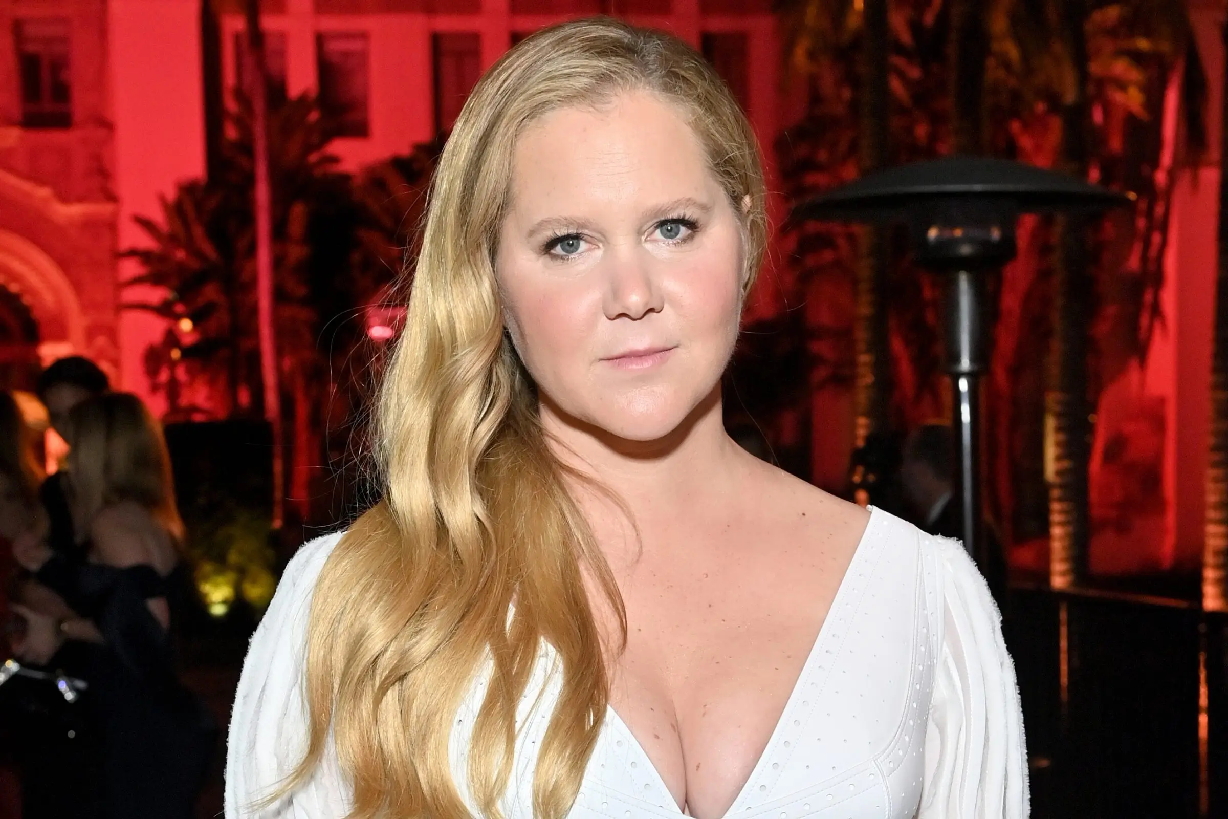 The Life and Career of Amy Schumer