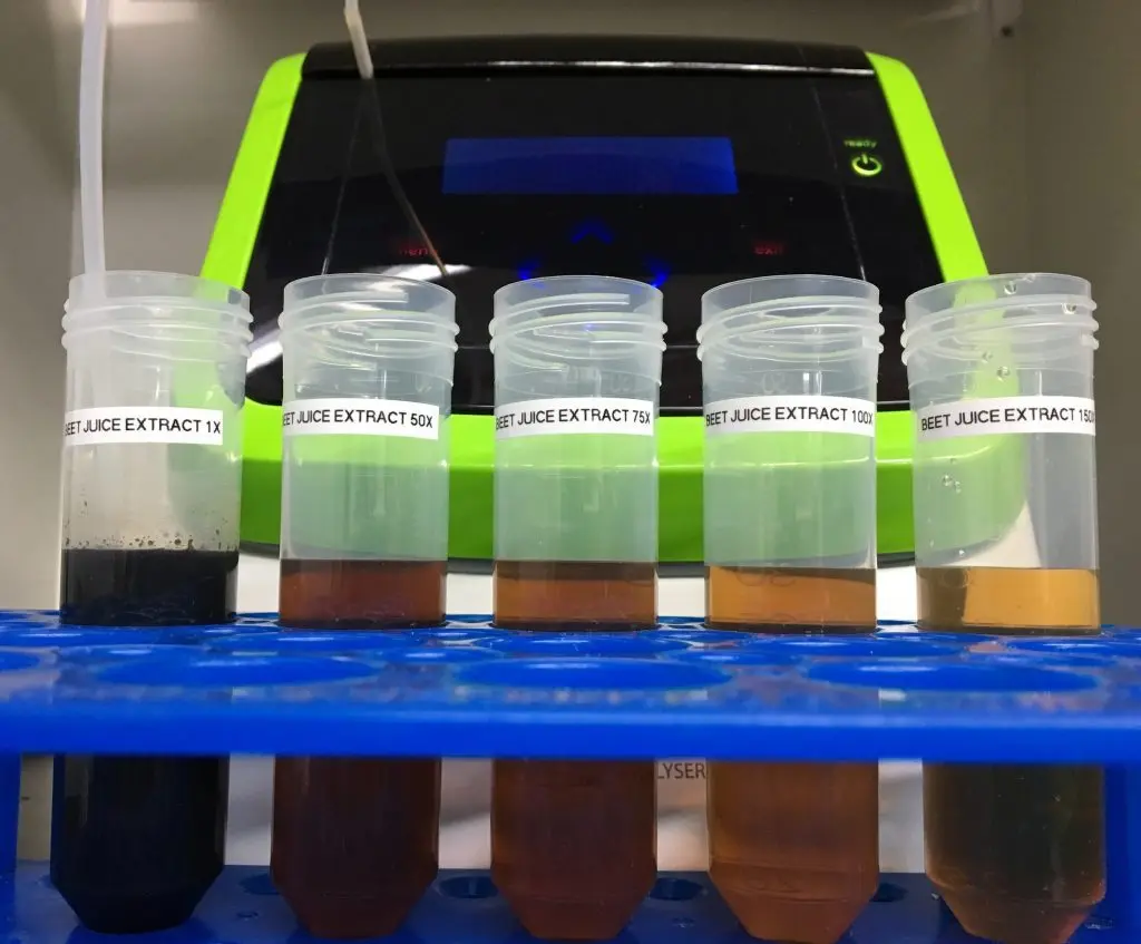 Beet Juice on Roads: The Eco-Friendly Deicing Revolution