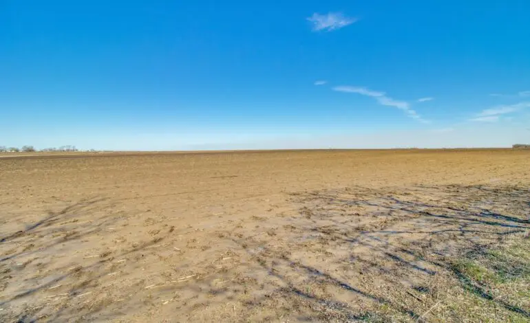 Exploring the Charms of Bonham, TX