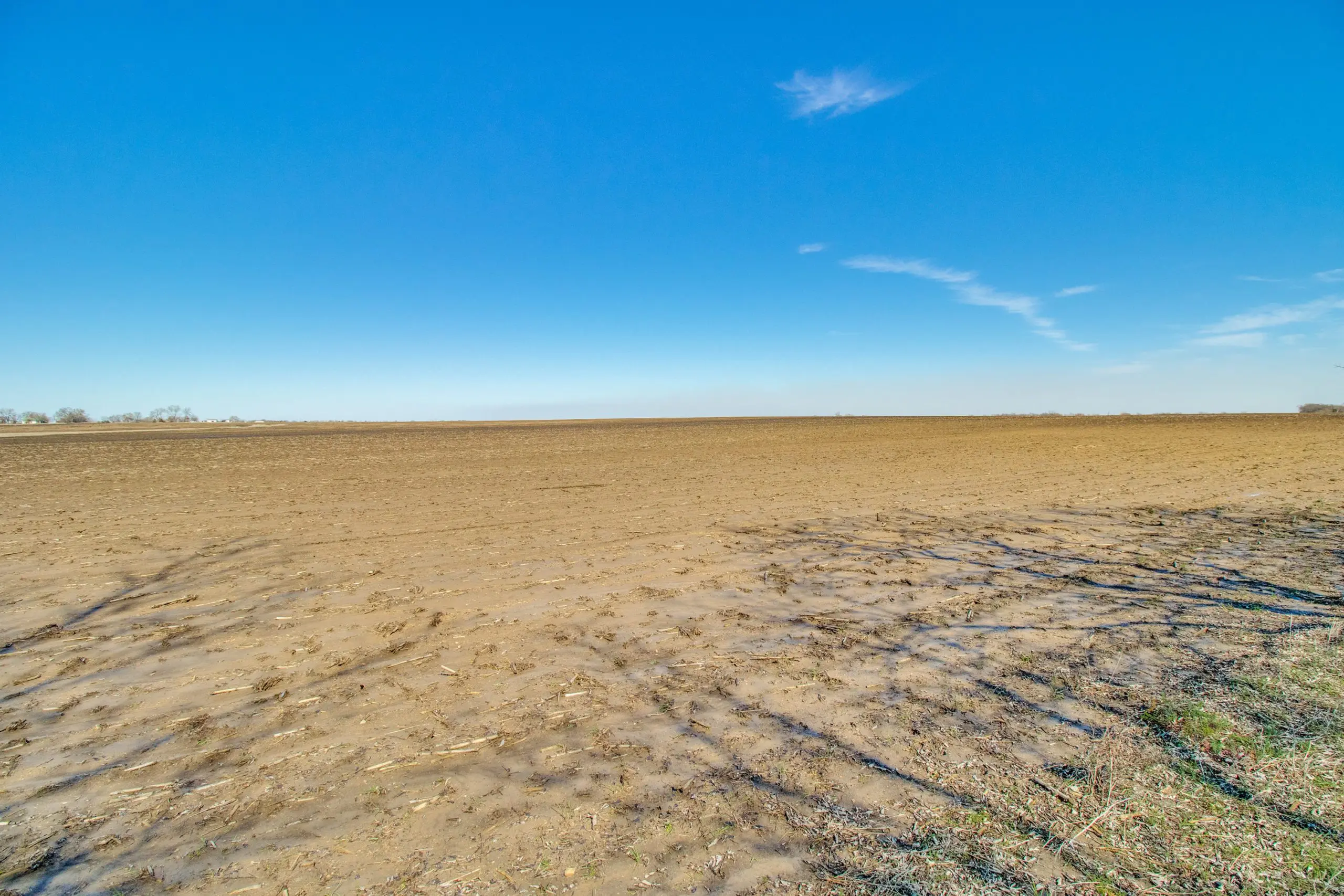 Exploring the Charms of Bonham, TX