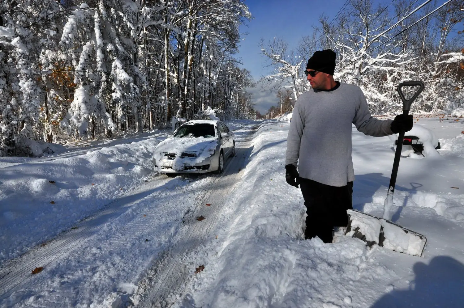 Understanding Buffalo Weather: Trends and Current Forecasts