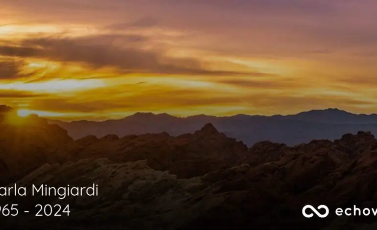 Exploring the Impact of Carla Mingiardi in Contemporary Art