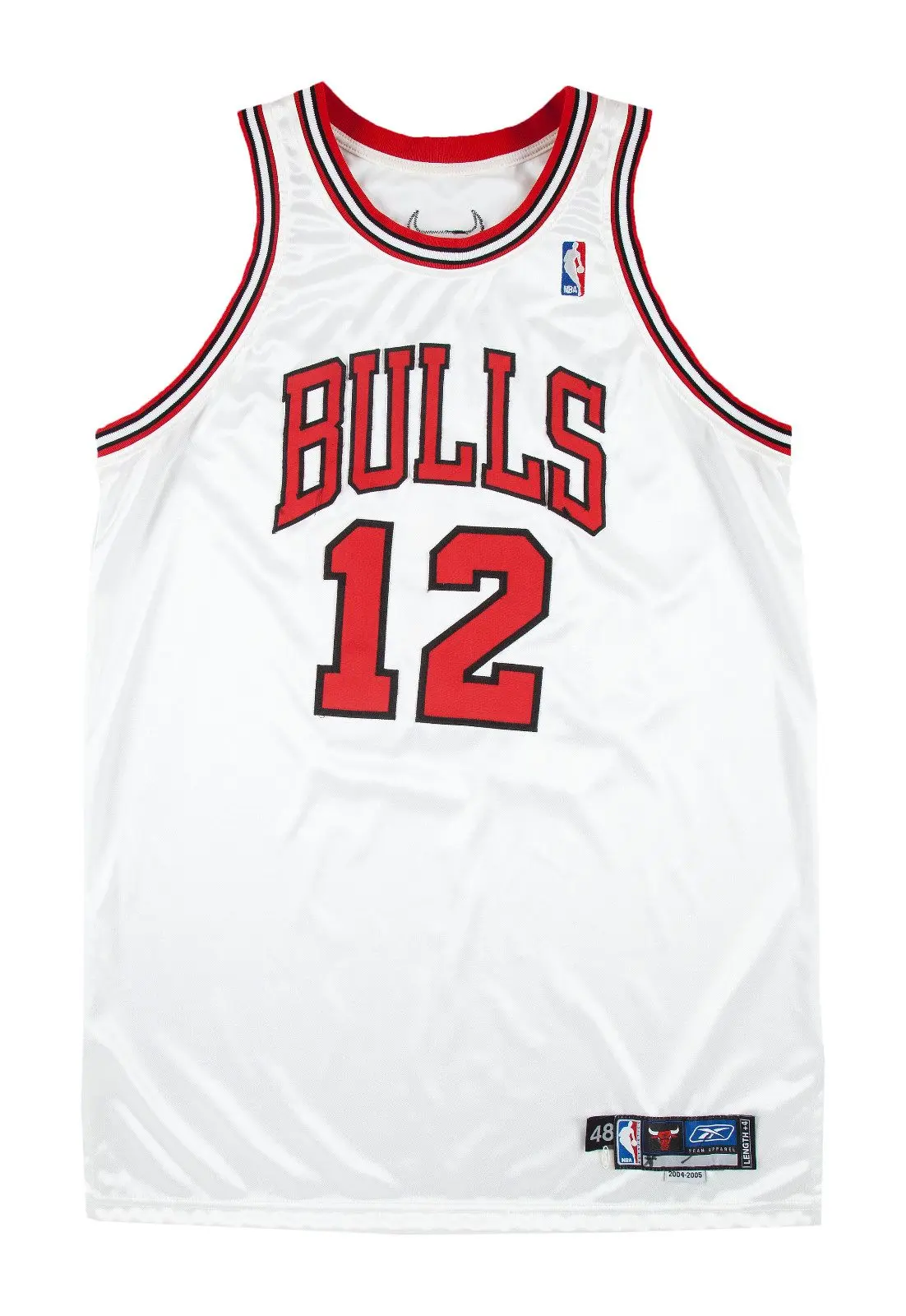 The Chicago Bulls: Legacy, Challenges, and Future Outlook