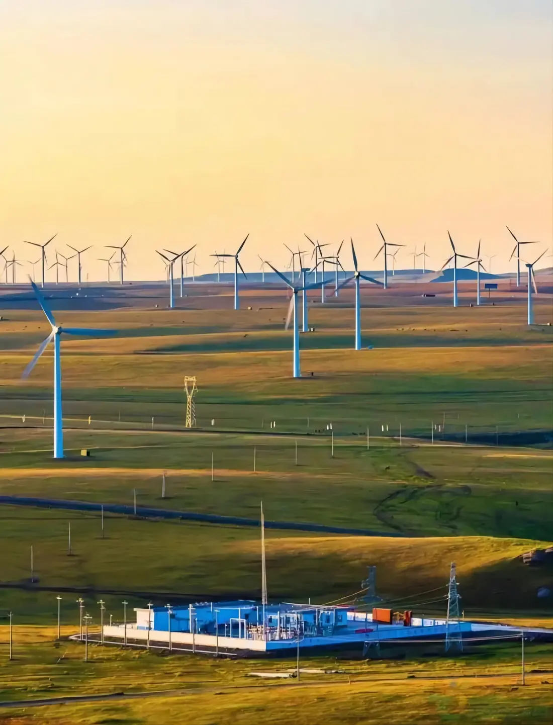 The Rise of Wind Farms in China: A Renewable Energy Revolution