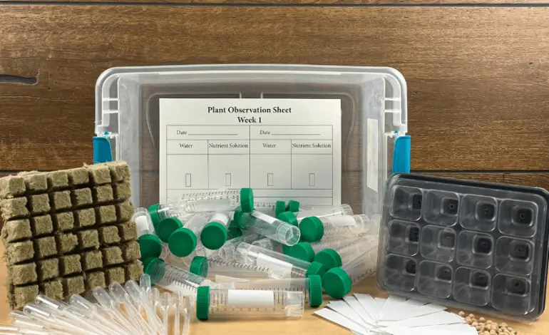 Innovative Trends Transforming the Classroom Environment