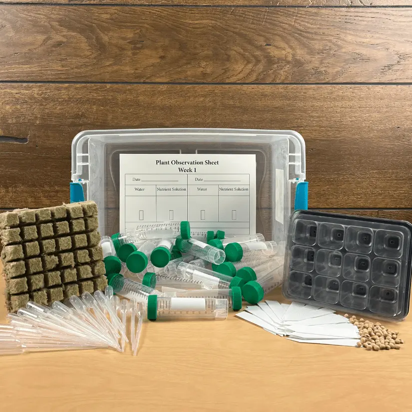 Innovative Trends Transforming the Classroom Environment