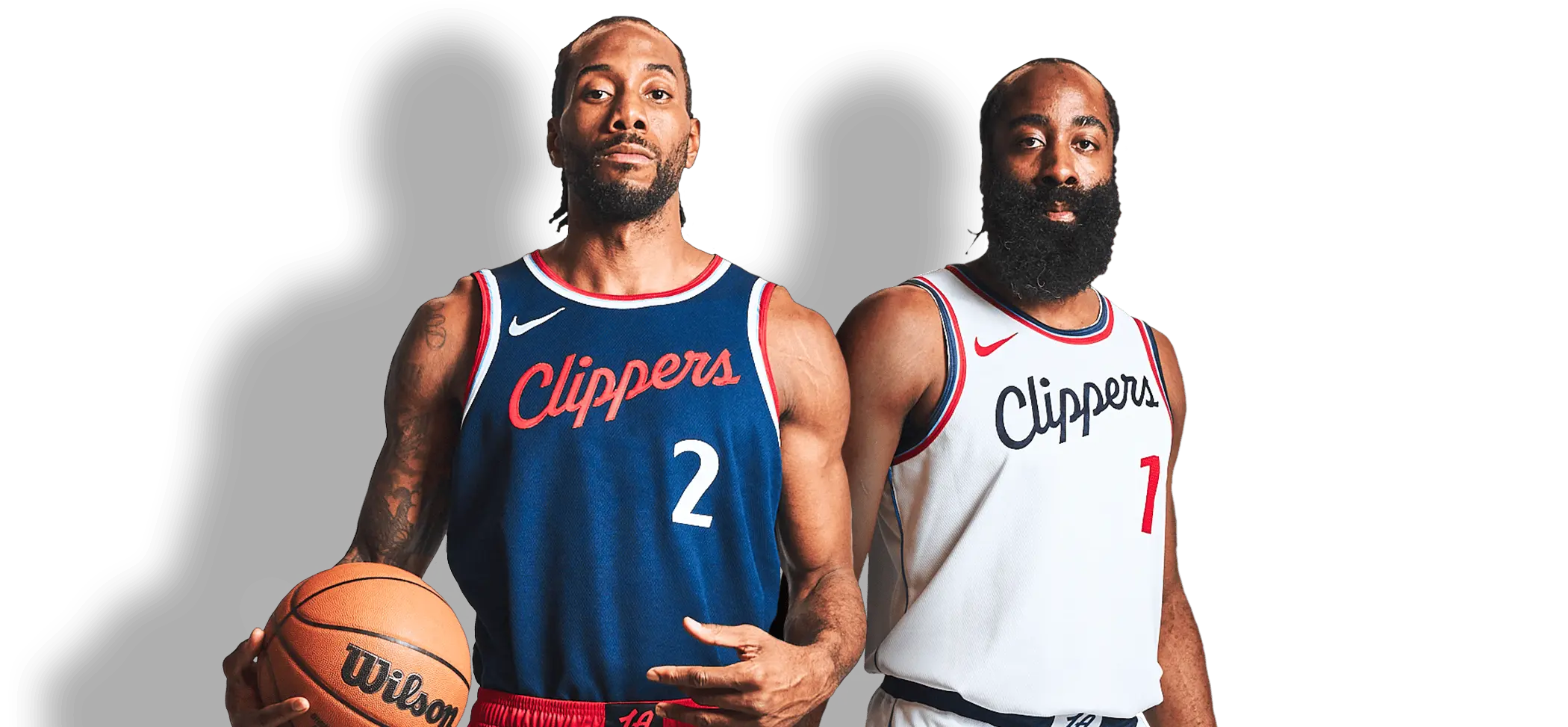 The Essential Guide to Clippers in Grooming