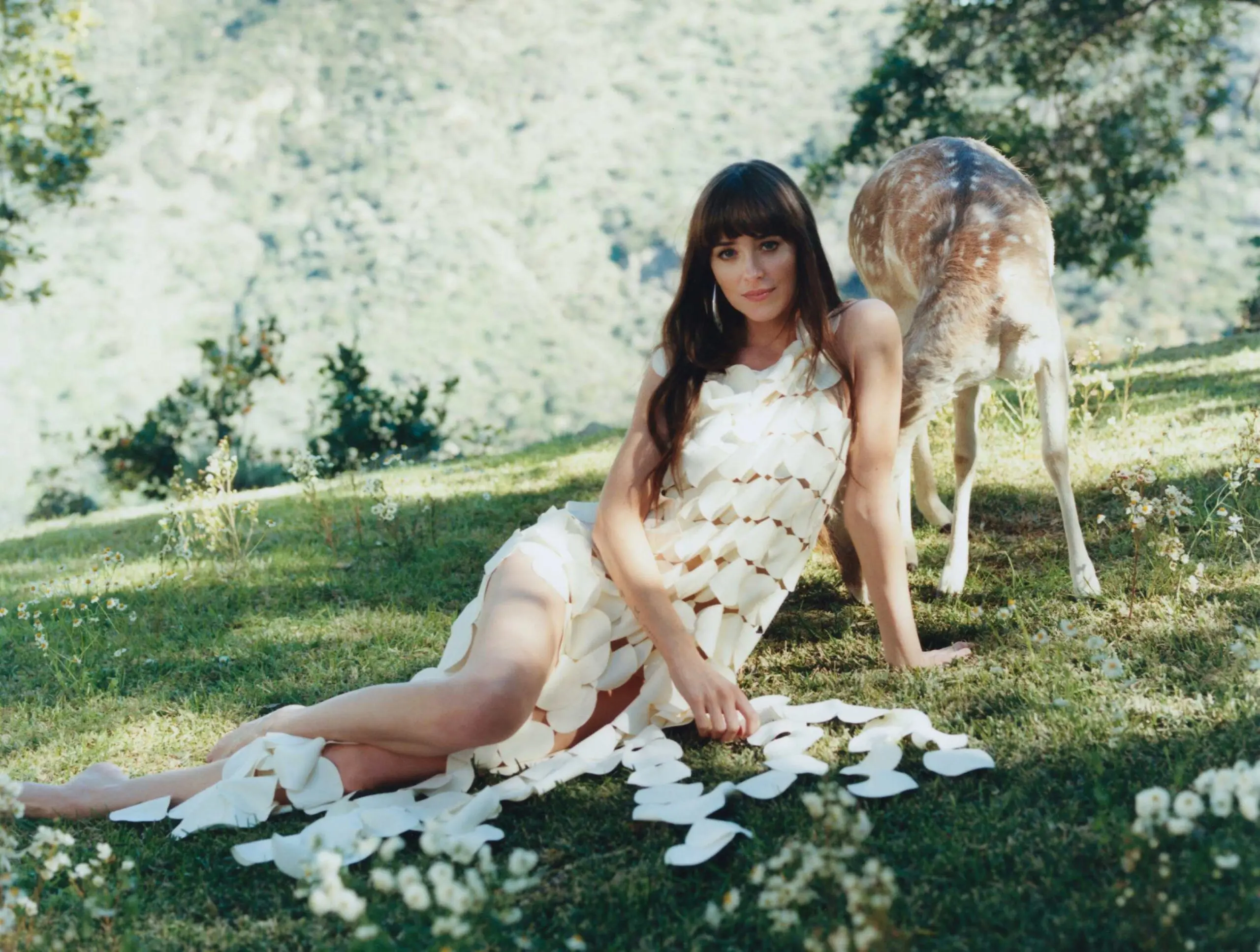 Dakota Johnson: A Rising Star in Hollywood