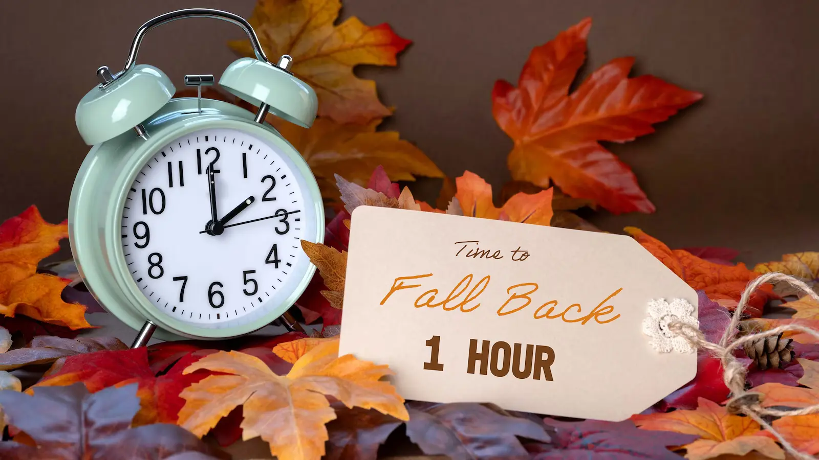The Importance and Impact of Daylight Savings Time