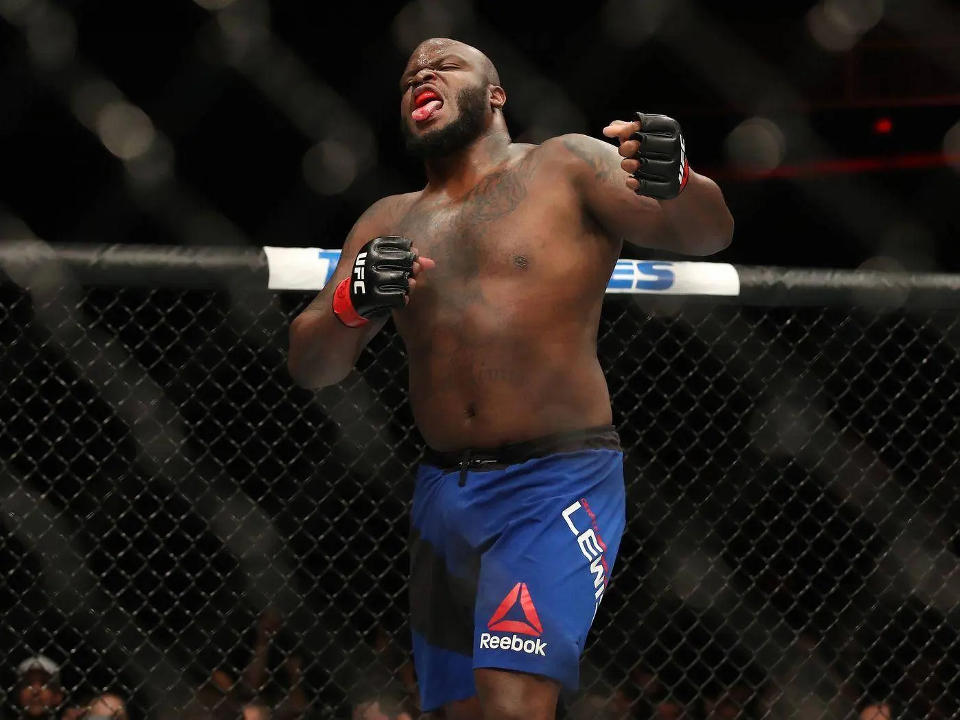 The Journey and Impact of UFC Fighter Derrick Lewis