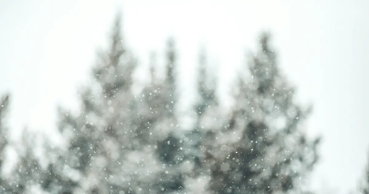 Understanding Extreme Cold Watch Alerts and Their Impact