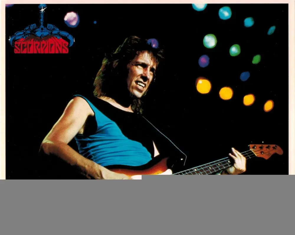 The Legacy of Francis Buchholz in Rock Music