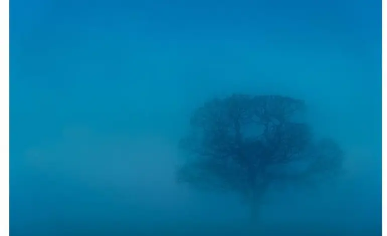Understanding Freezing Fog Advisory and Its Implications