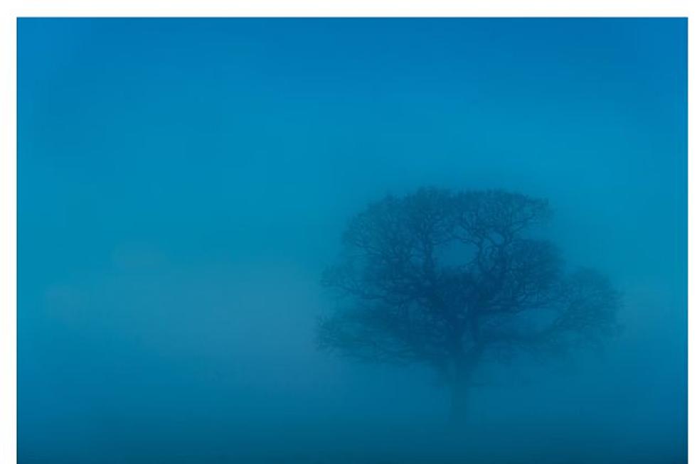 Understanding Freezing Fog Advisory and Its Implications
