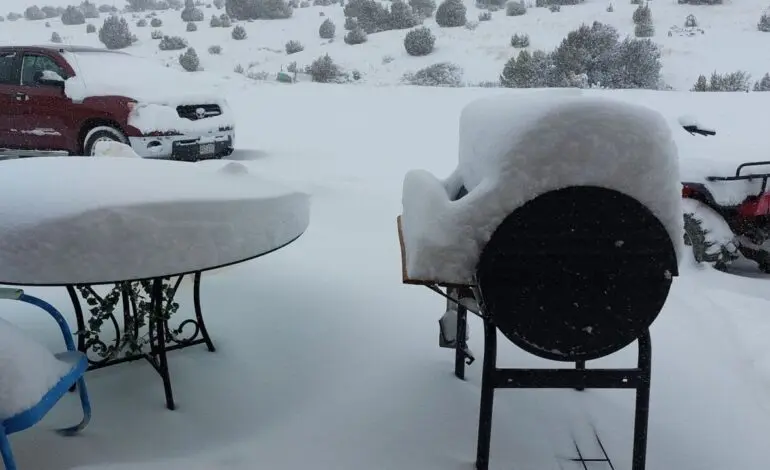 How Much Snow Did We Get? A Winter Weather Update