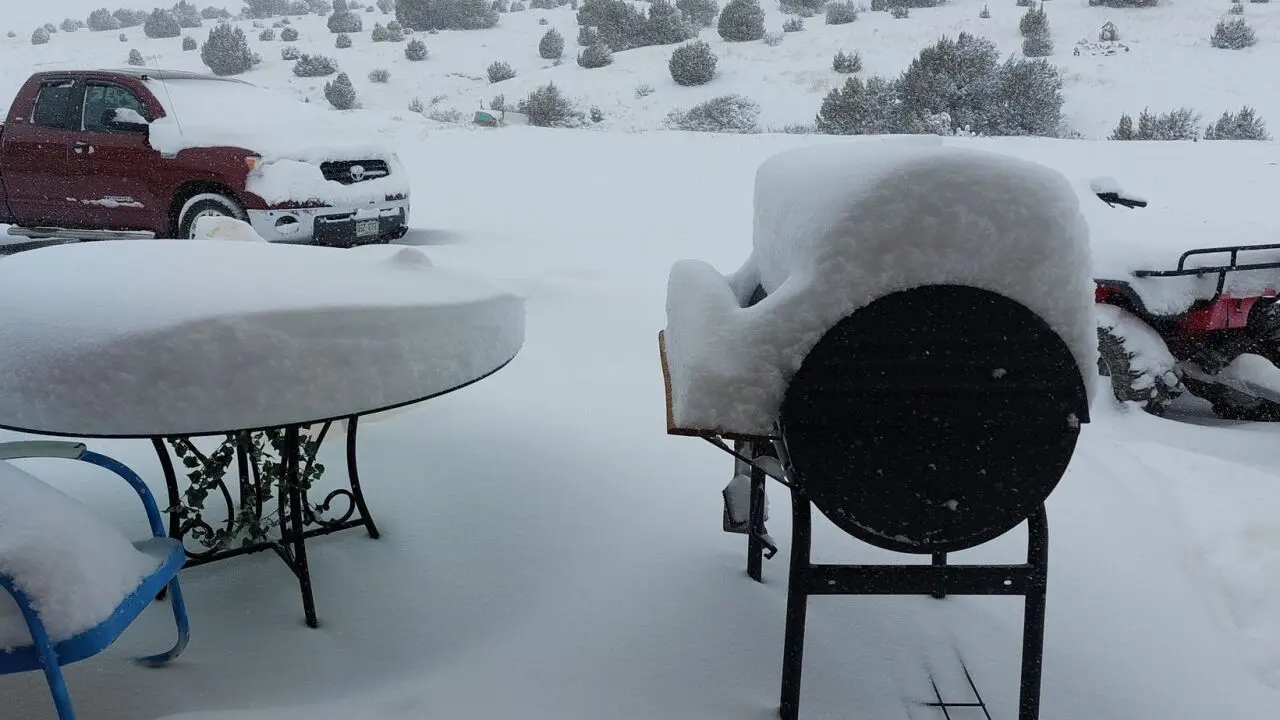 How Much Snow Did We Get? A Winter Weather Update