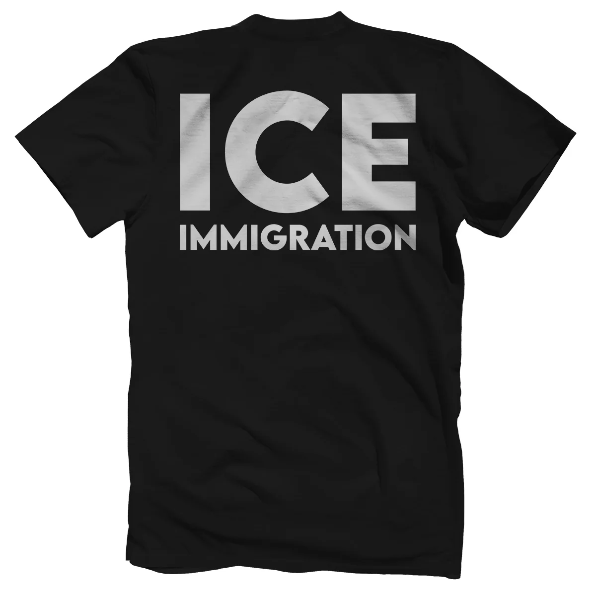 Understanding Recent Changes in Ice Immigration Policies