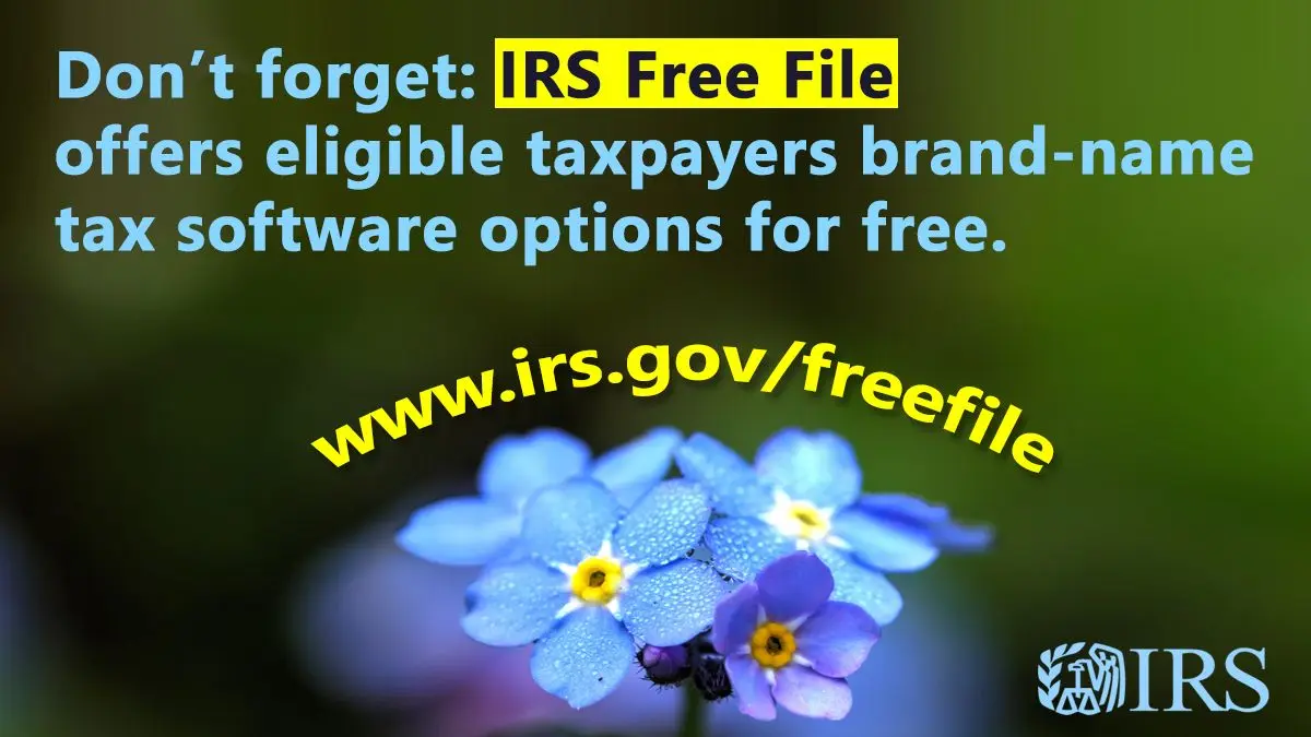 A Comprehensive Guide to IRS Taxes and Their Importance