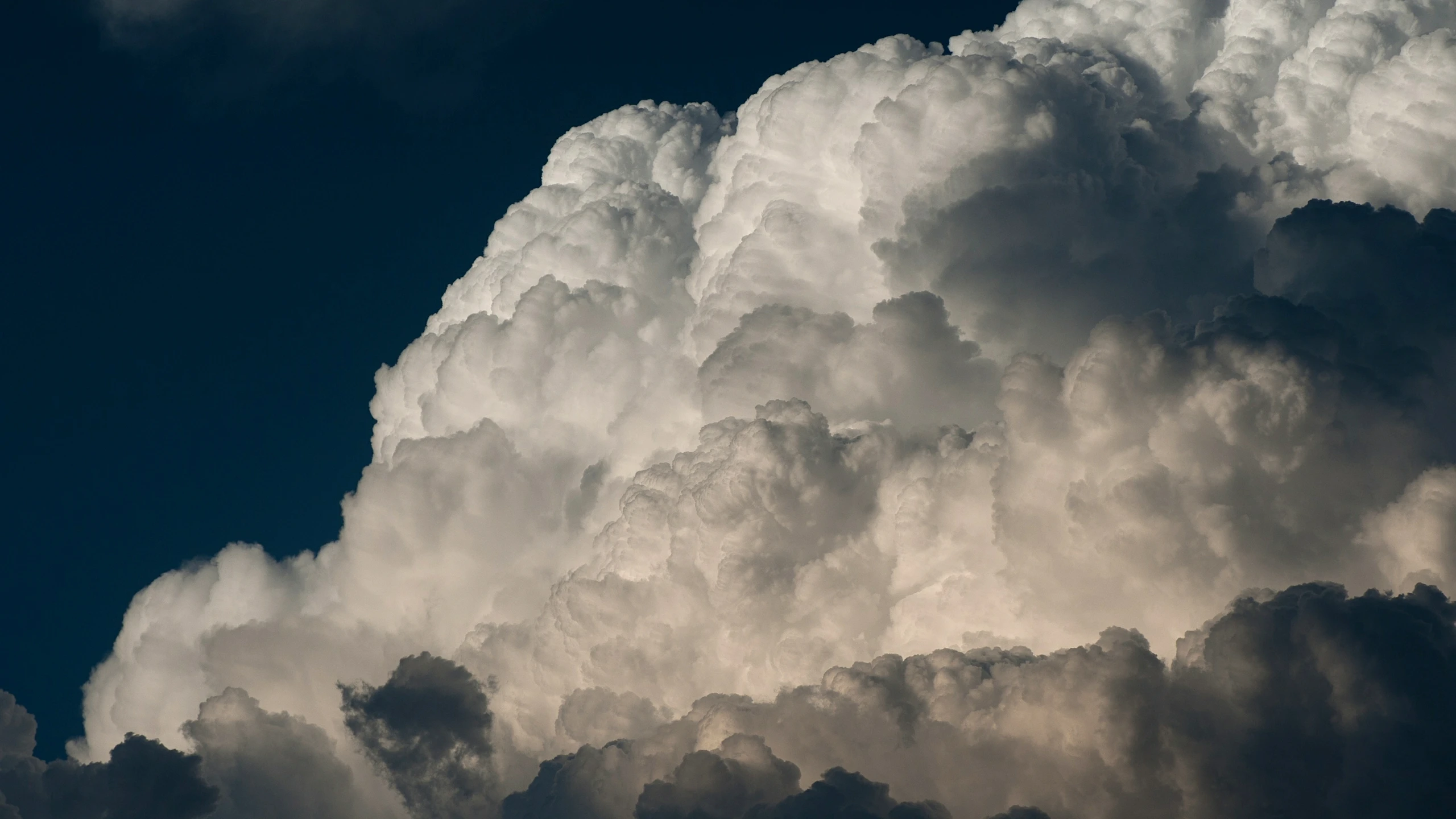 Knoxville Weather: What to Expect This Week