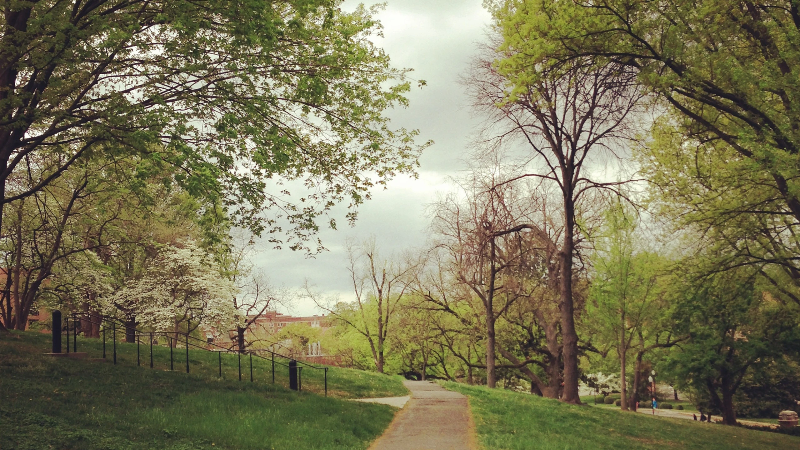 Knoxville Weather: Current Forecasts and Trends