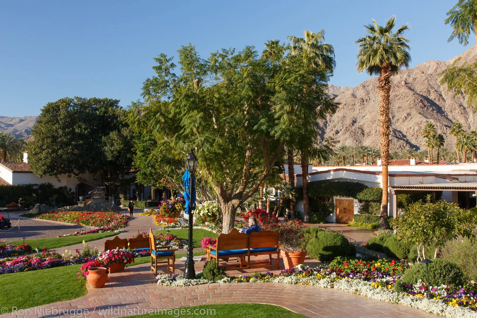 Discovering La Quinta California: A Desert Oasis of Adventure