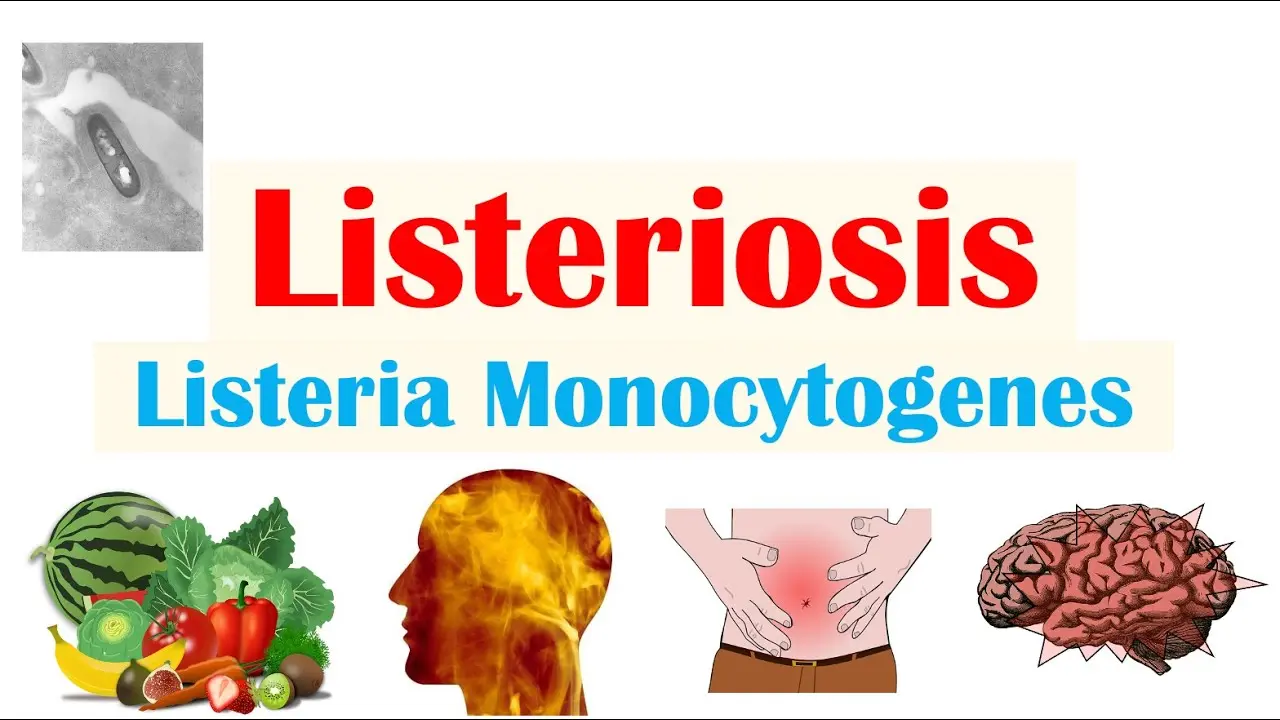 Understanding Listeria: Health Risks and Prevention
