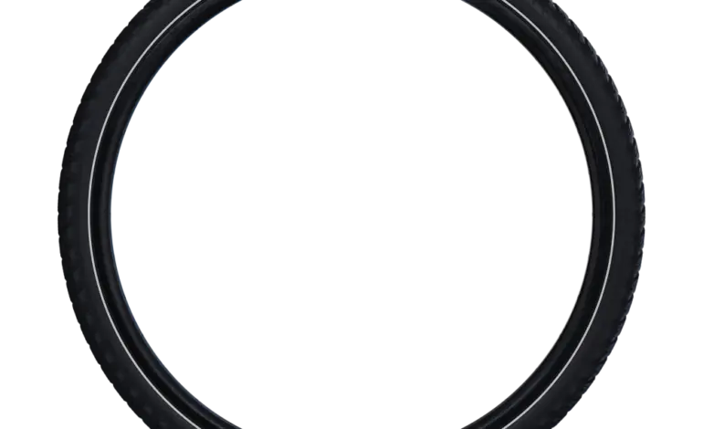 Understanding the Moon Phase Today and Its Impact