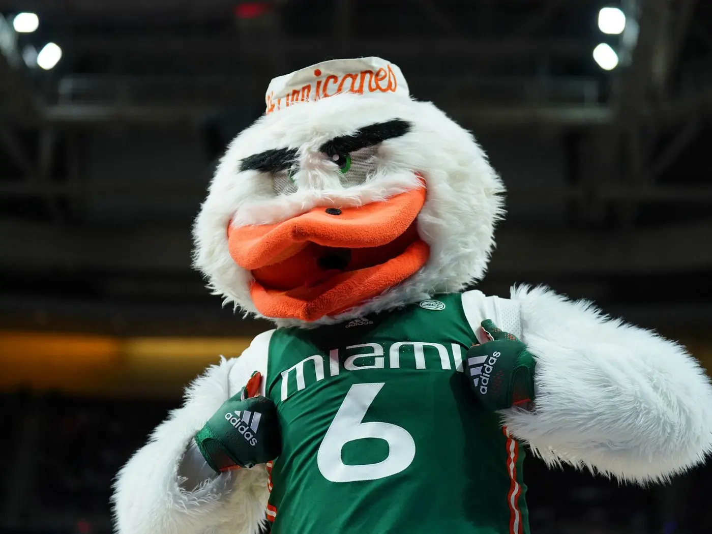 The Legacy of Miami Hurricanes Mascot: Sebastian the Ibis