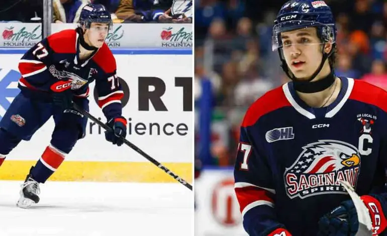 The Rise of Anthony Mantha in the NHL