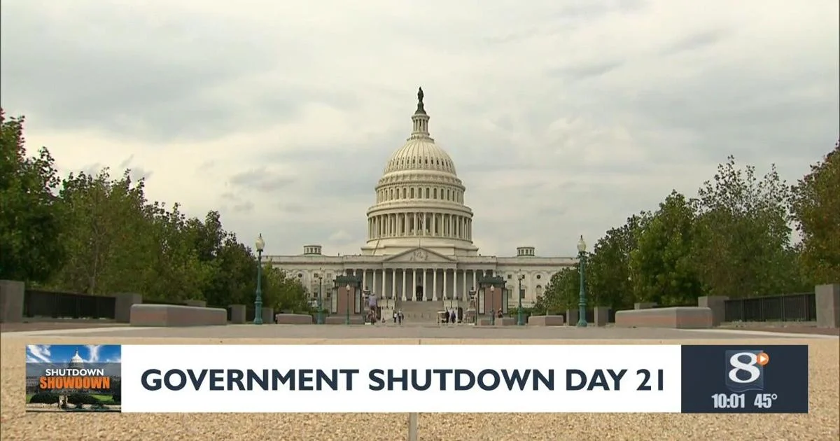 Understanding the National Shutdown in the U.S.