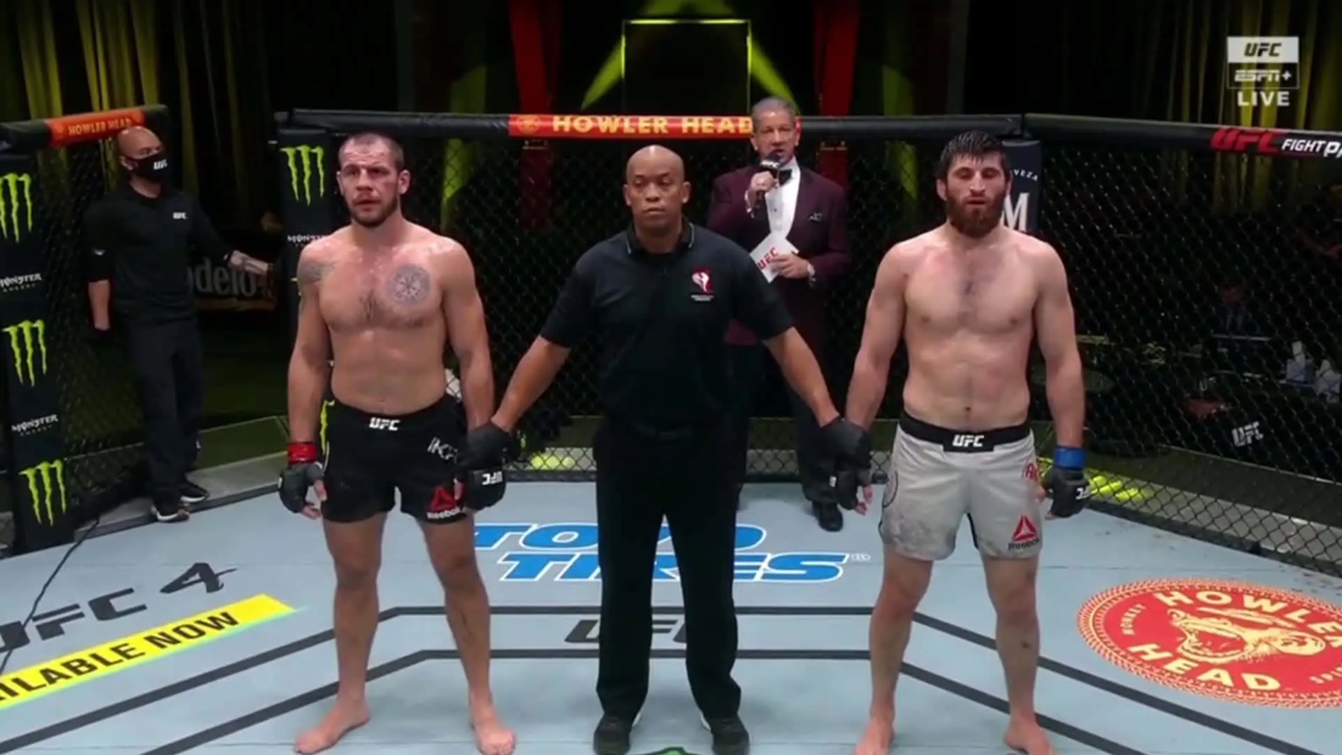Nikita Krylov: A Look at the Rising Star in Mixed Martial Arts