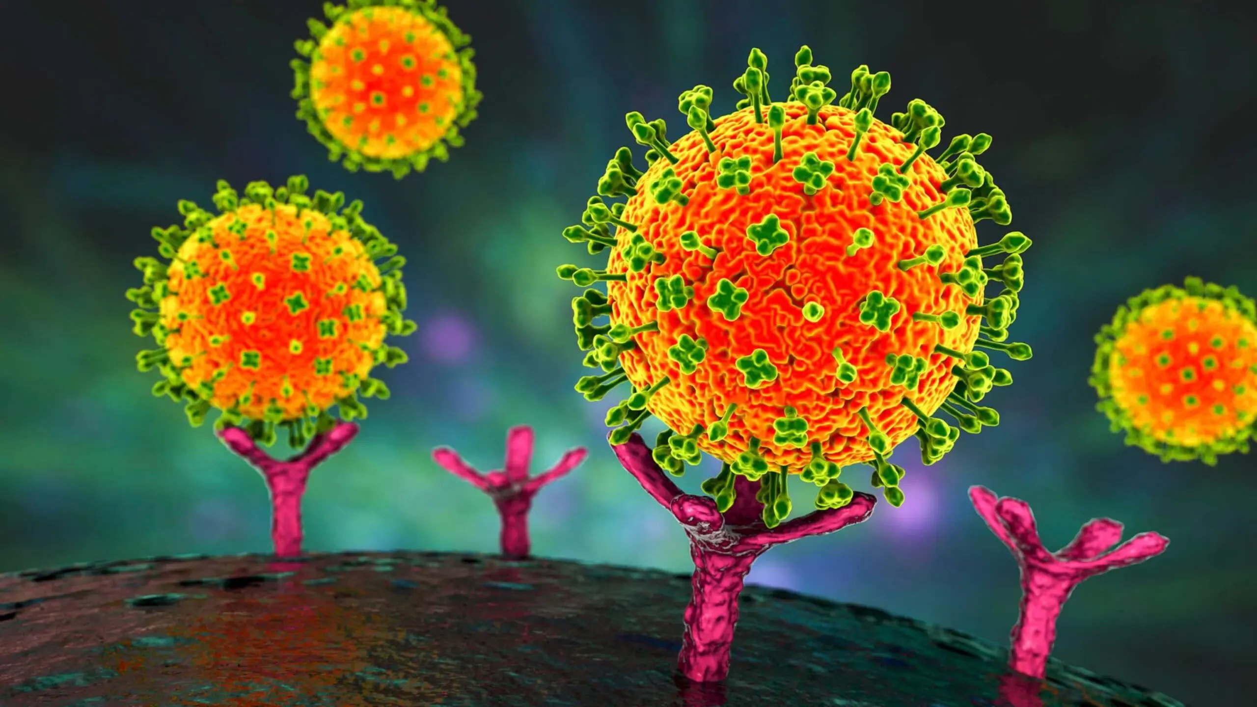 What You Need to Know About Nipah Virus
