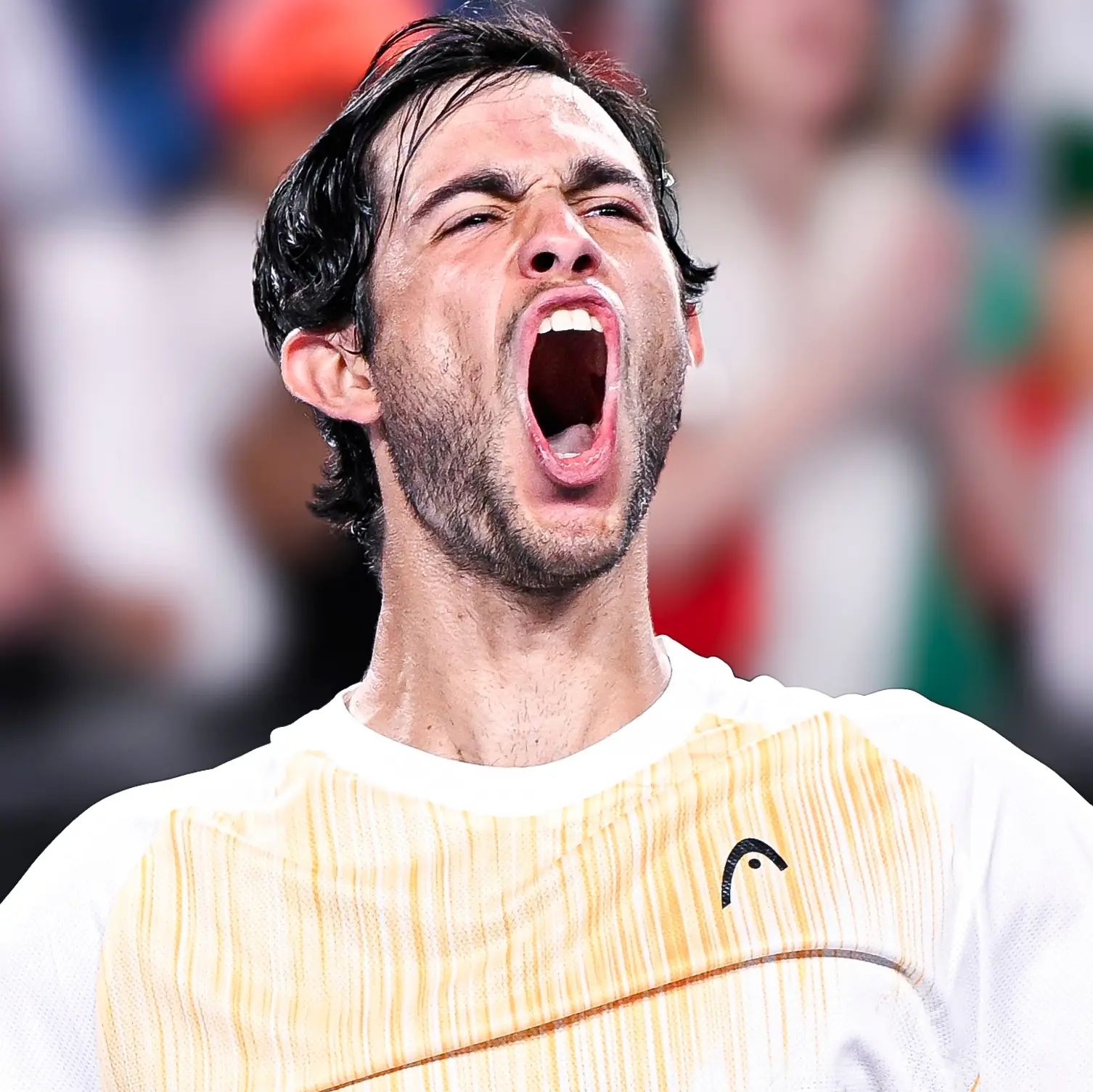 Nuno Borges: The Rising Star of Tennis