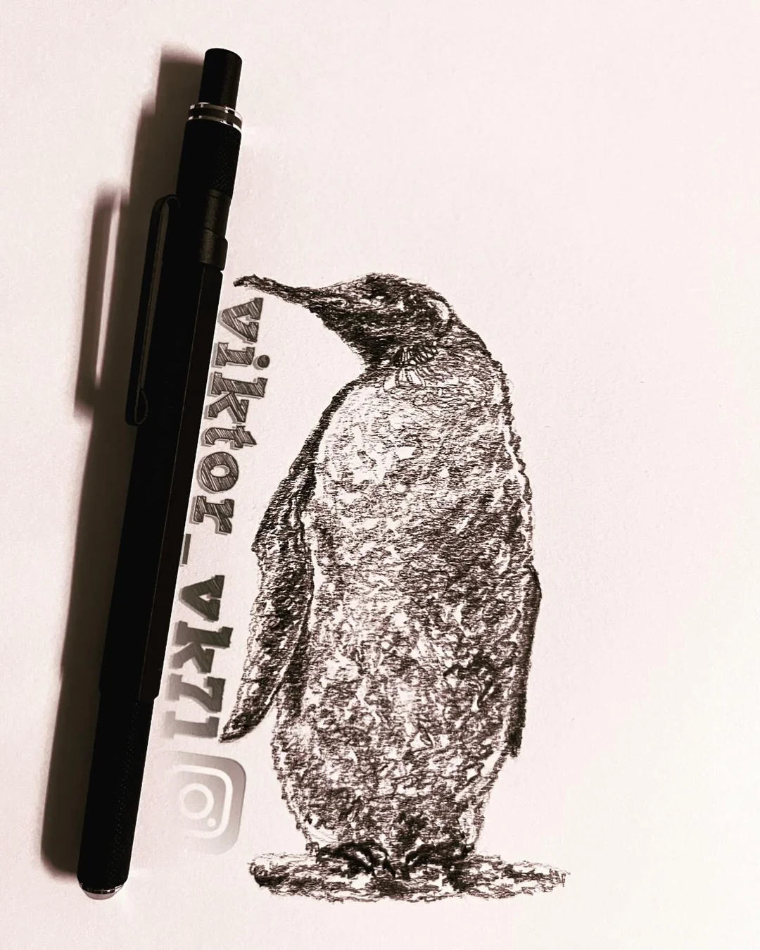 The Fascinating World of Penguins: Habitats, Behaviors, and Conservation