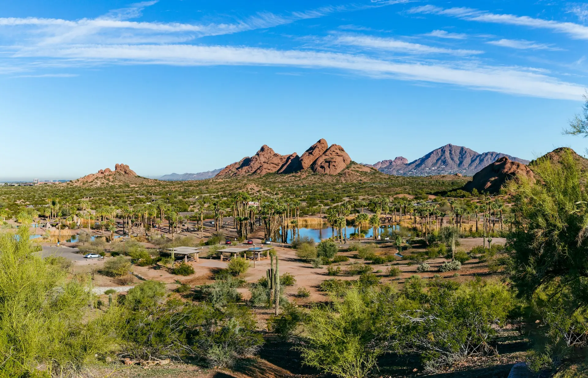 Understanding Phoenix Weather: Current Trends and Forecasts