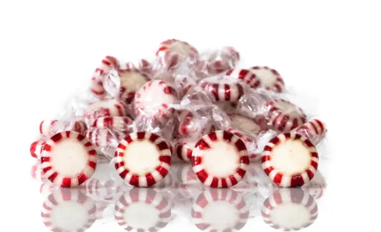 Exploring Chapter 11 of Primrose Candy