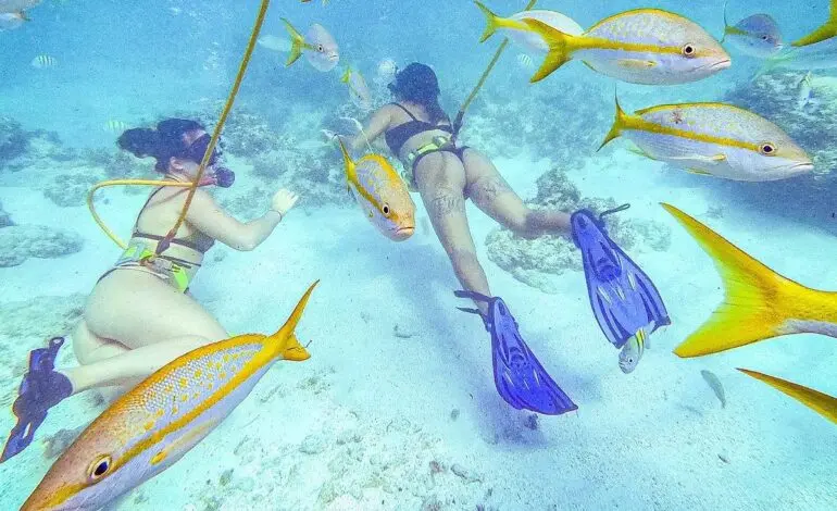 Discover Punta Cana: A Tropical Paradise in the Caribbean