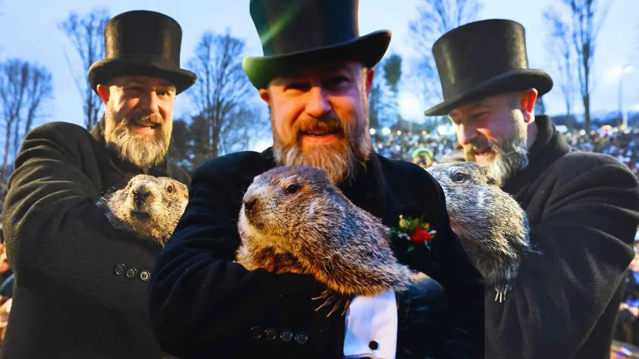 The Legacy of Punxsutawney Phil: A Groundhog Day Tradition