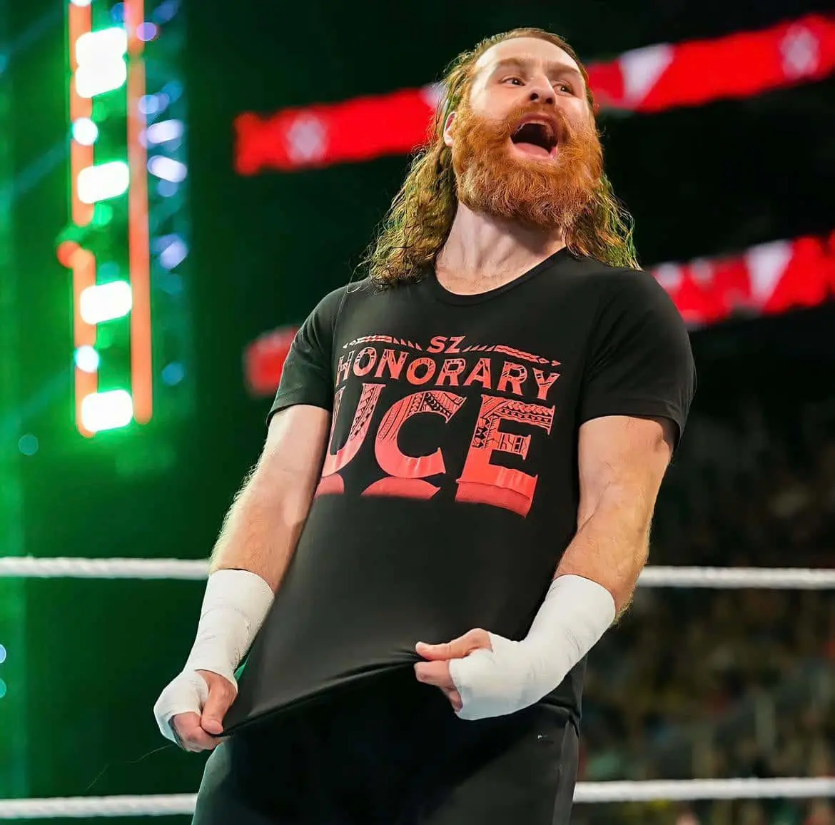 The Rise and Impact of Sami Zayn in WWE