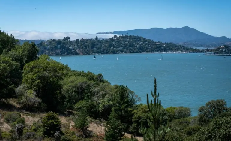 Understanding Wind Advisories: Current Updates and Implications