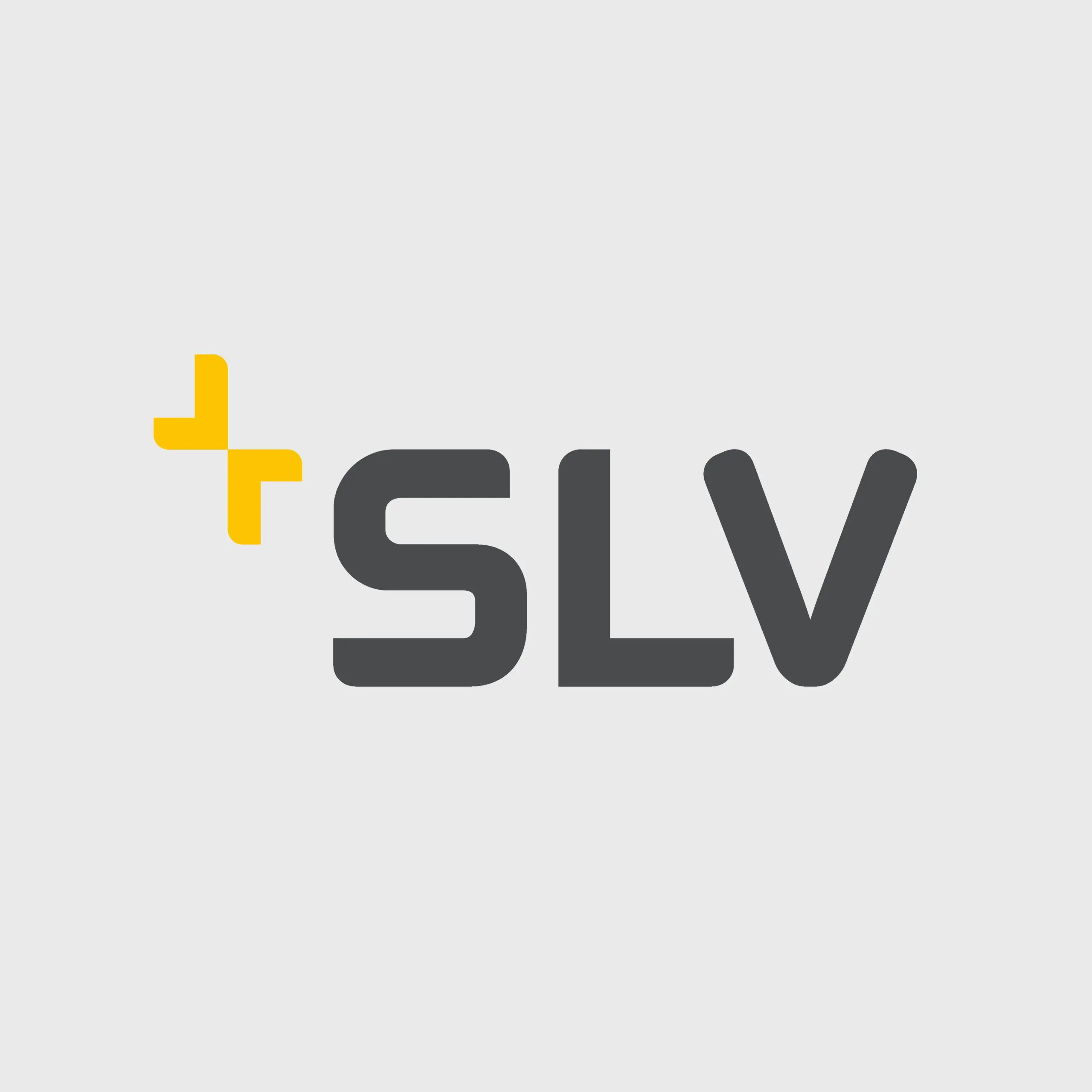 Understanding SLV and Its Role in the Investment Sphere