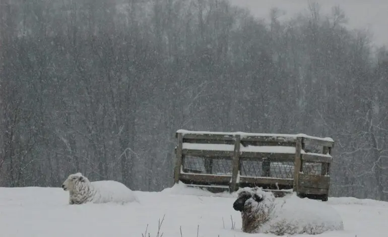 Urgent Weather Alert: Snowstorm This Weekend Details