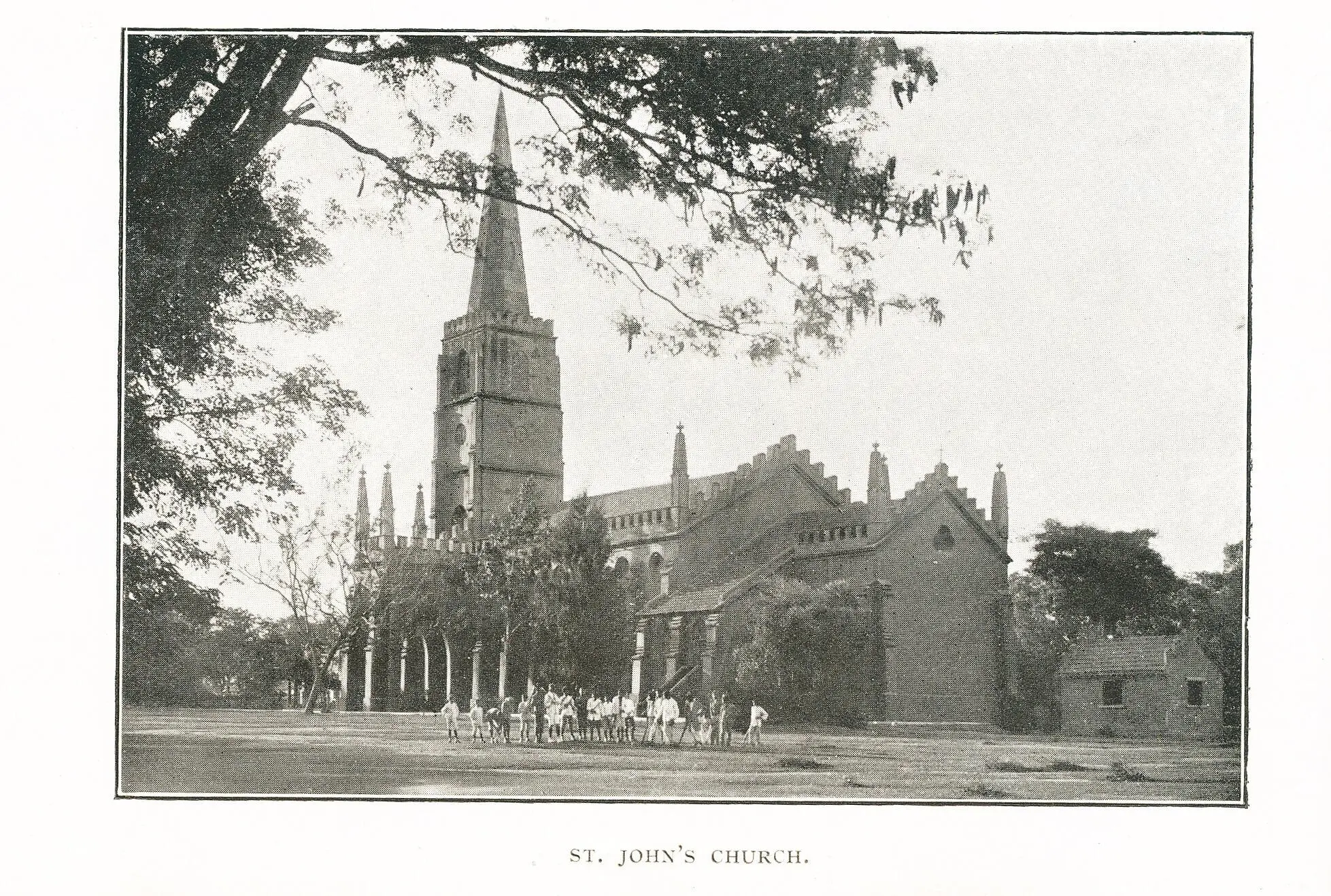 Latest News and Updates on St John’s Basketball Team